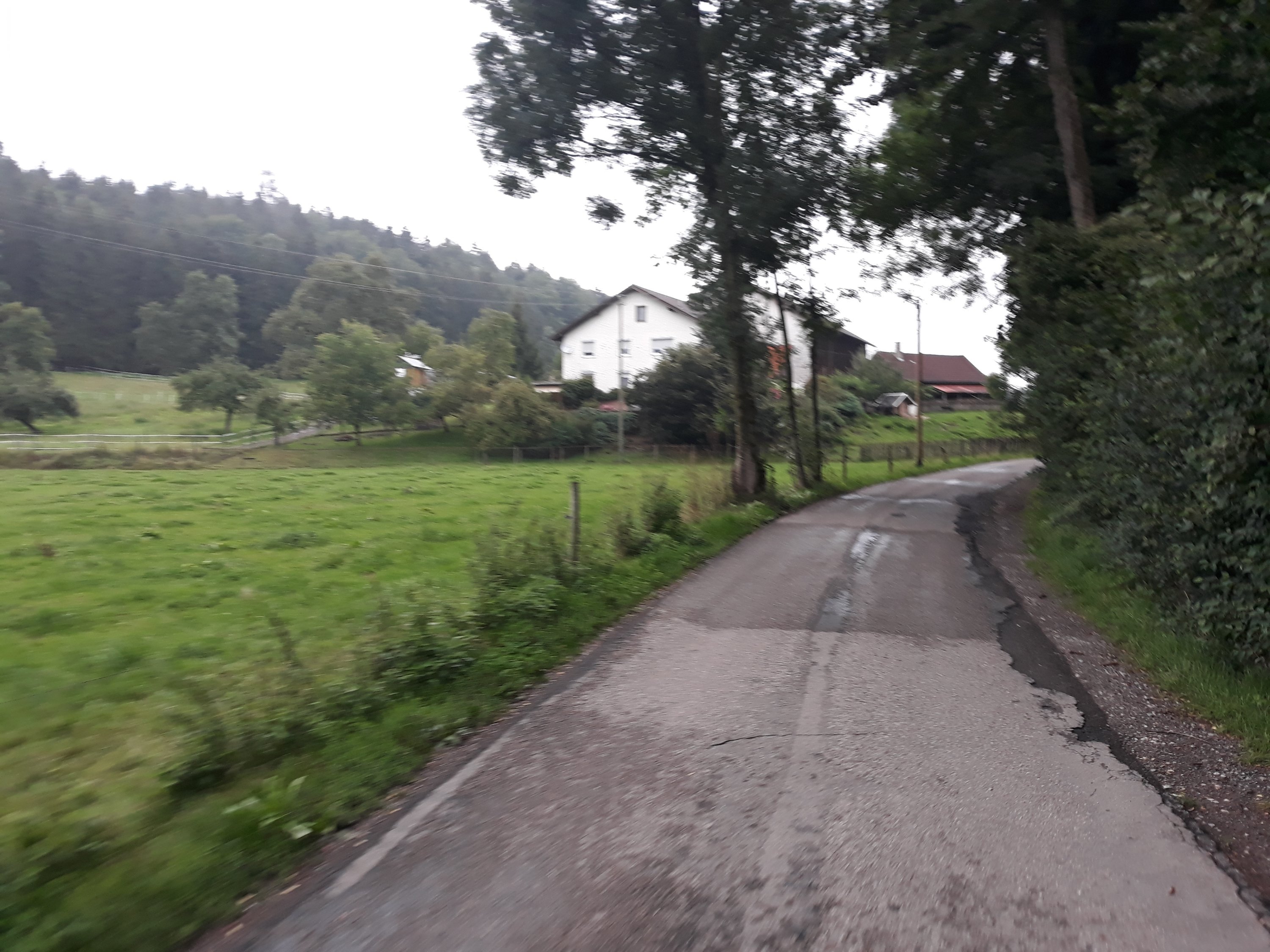 Im Allgäu Sind Die Wiesen Grün Und Saftig – Ich Weiß Jetzt Warum.