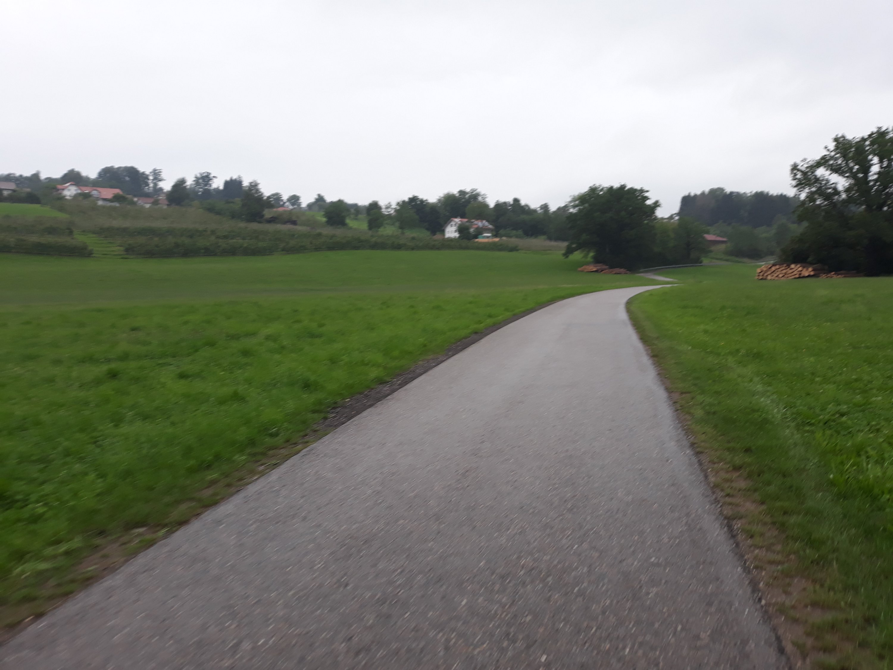 Im Allgäu Sind Die Wiesen Grün Und Saftig – Ich Weiß Jetzt Warum.